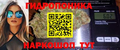 скорость Кунгур