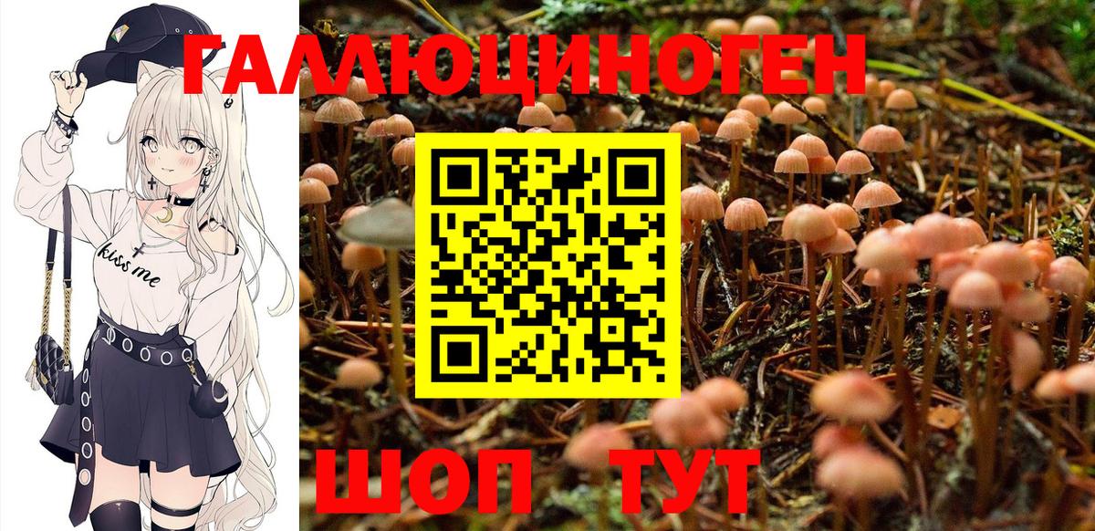 Галлюциногенные грибы мицелий Зеленогорск