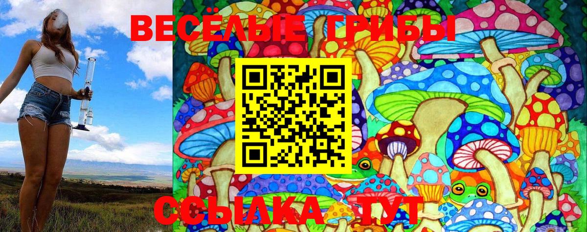 Зеленогорск  Псилоцибиновые грибы GOLDEN TEACHER  Вход с VPN  Псилоцибиновые грибы Magic Shrooms 
